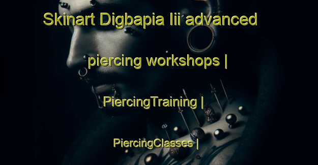 Skinart Digbapia Iii advanced piercing workshops | PiercingTraining | PiercingClasses | SkinartTraining-Côte d Ivoire